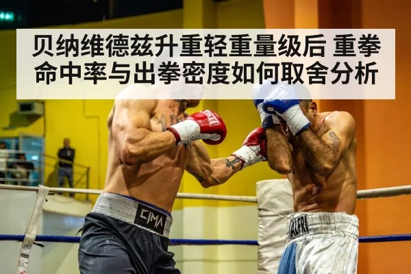 贝纳维德兹升重轻重量级后 重拳命中率与出拳密度如何取舍分析