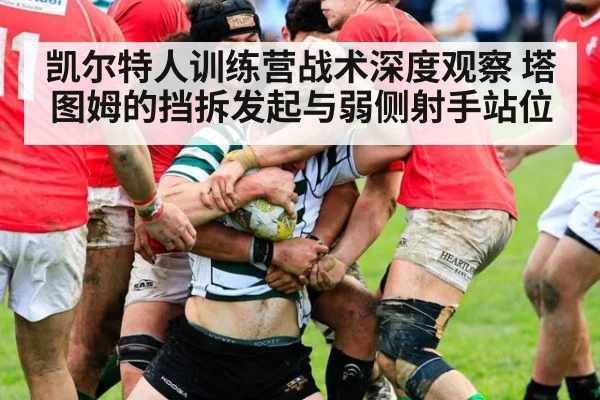 凯尔特人训练营战术深度观察 塔图姆的挡拆发起与弱侧射手站位